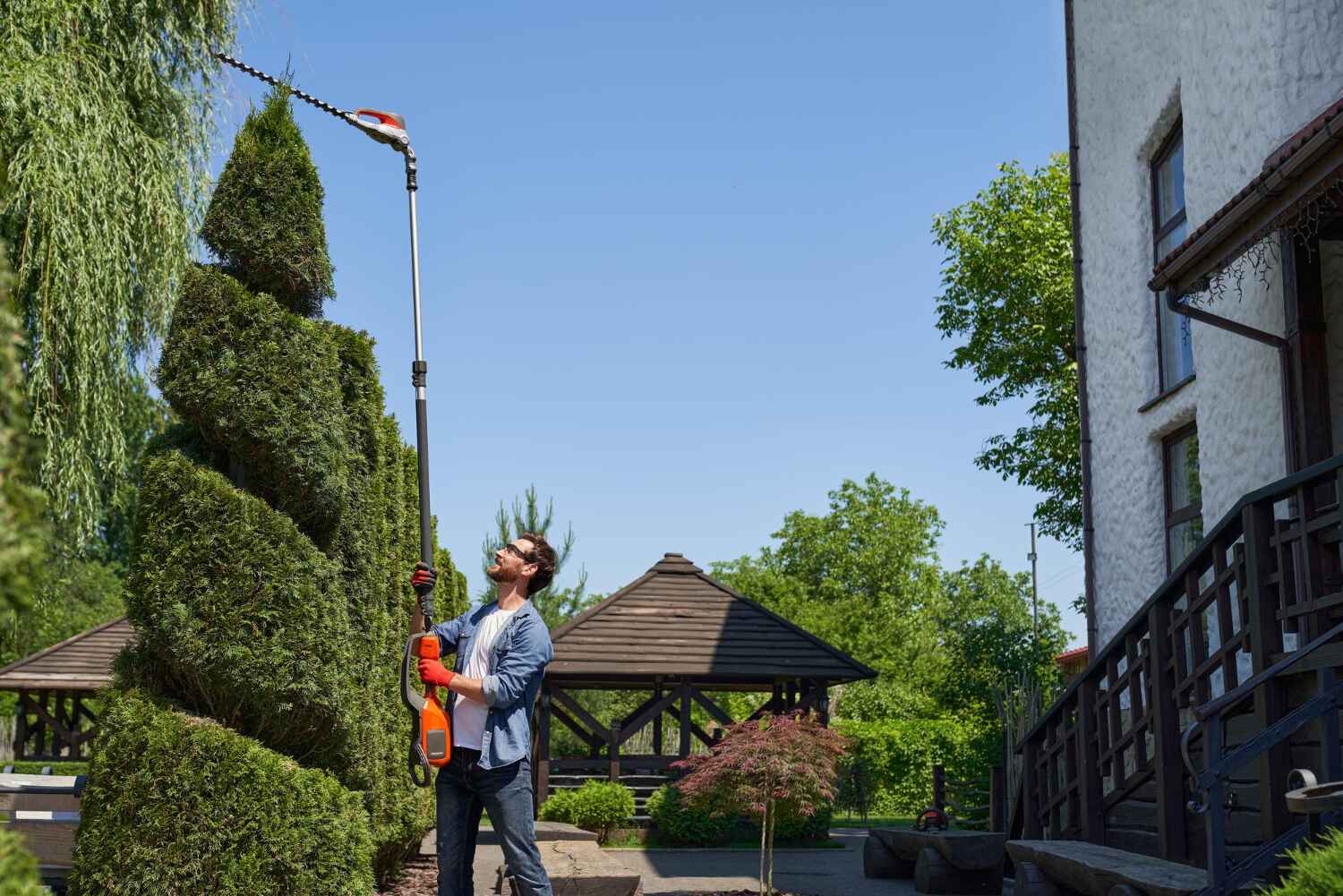 Tree Branch Trimming in Waverly, MI